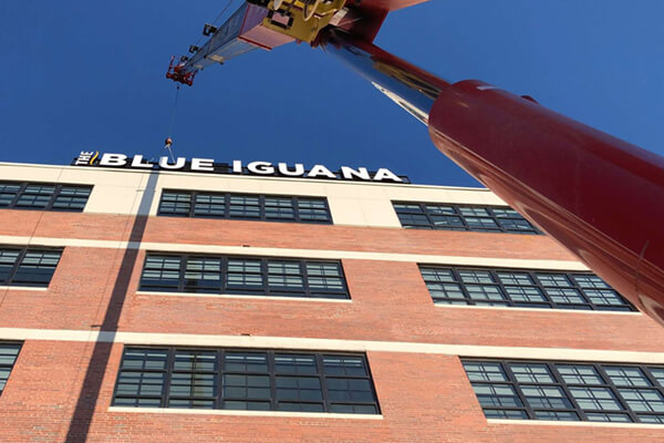 Install Blue Iguana