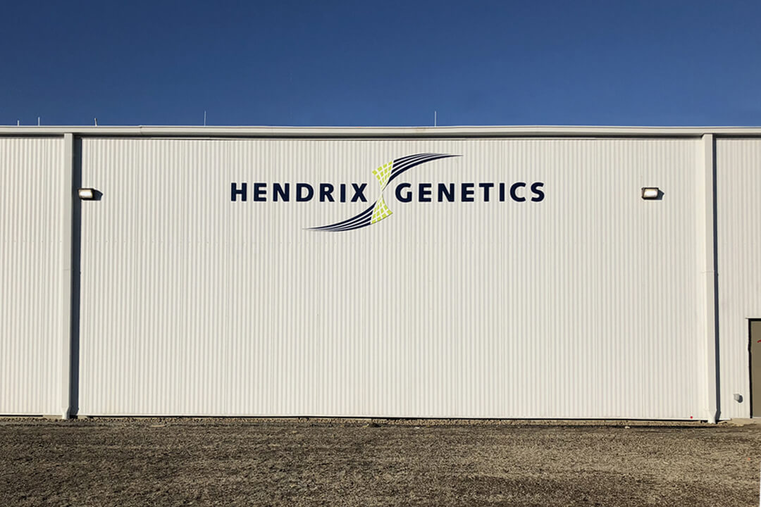 Hendrix Genetics - Painted Cut Aluminum