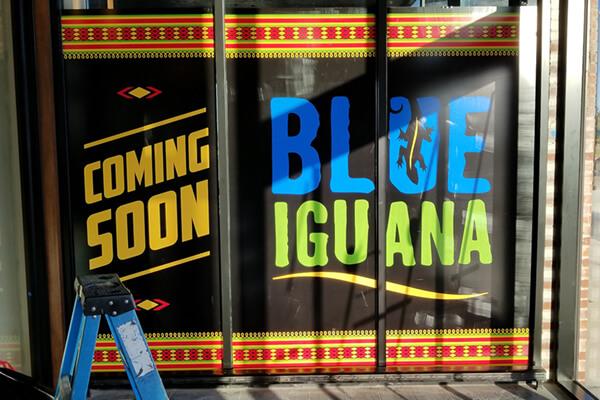 Restaurants Blue Iguana Window Graphics