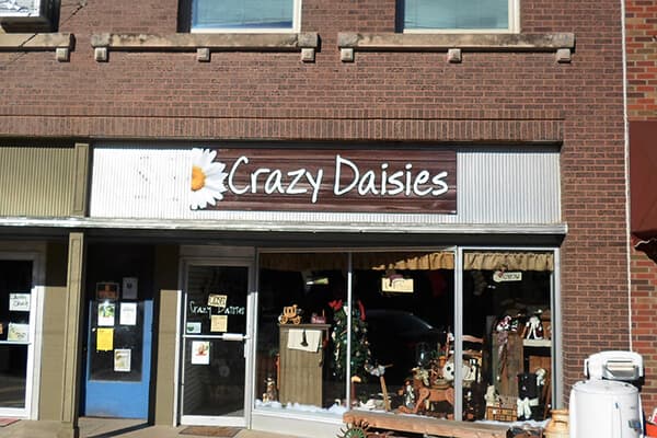 Retail Crazy Daisies